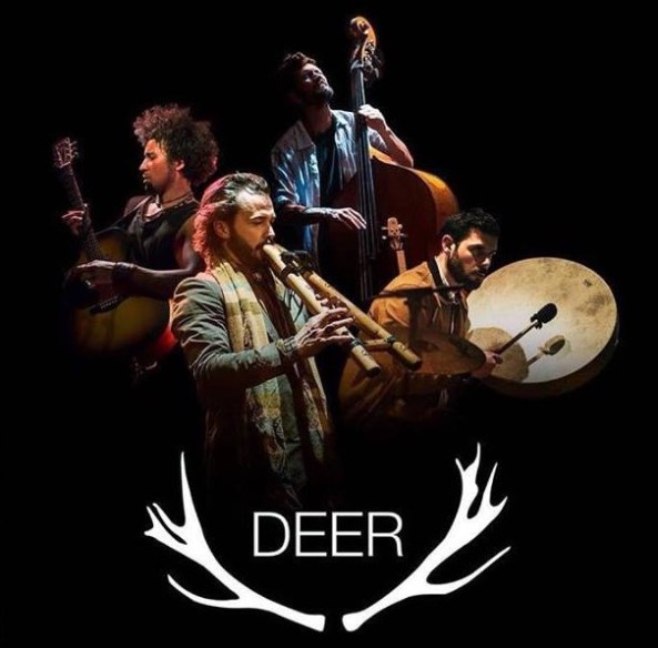 deer tour 2018
