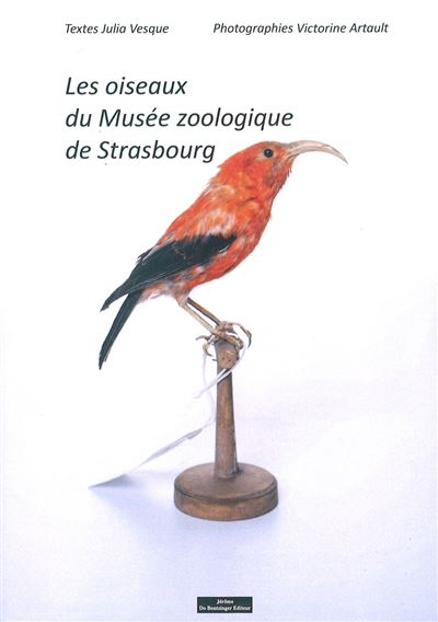 Les-oiseaux-du-musee-zoologique-de-strasbourg