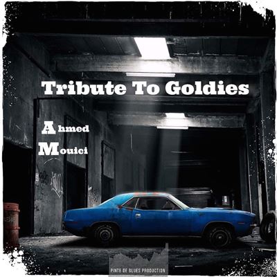 Tribute-To-Goldies